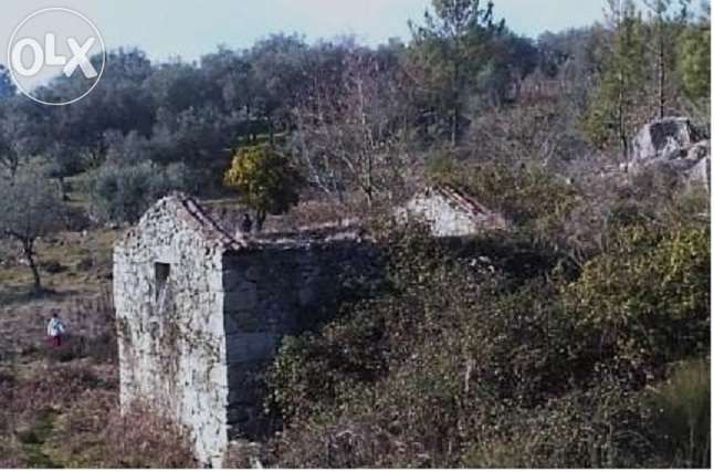 Quinta com casa para recuperar