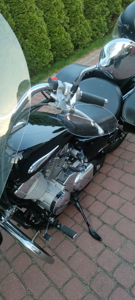 Honda Shadow vt 750 Spirit 2007 gmol c 3 c2 C4 gmole tył