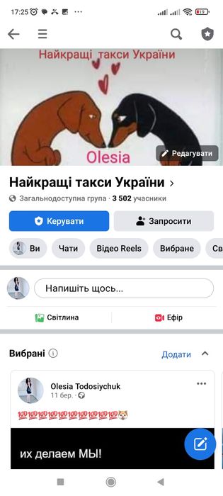 Один чорнопідпалий таксик з виводка !!! Шикарна дитинка.