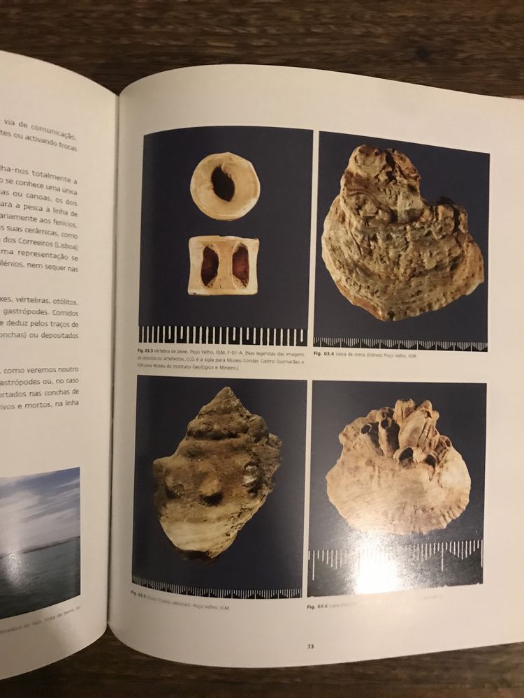 Arqueologia Cascais ha 5000 anos