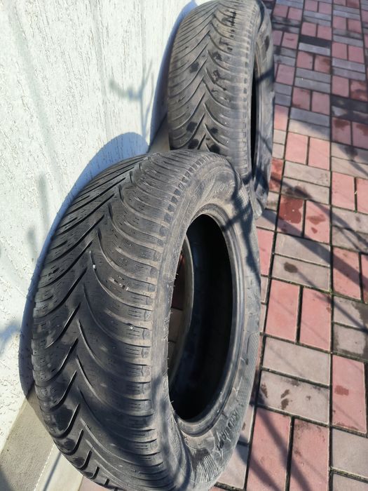 Скати зимові R 16