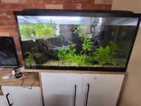 Akwarium 200l z akcesoriami