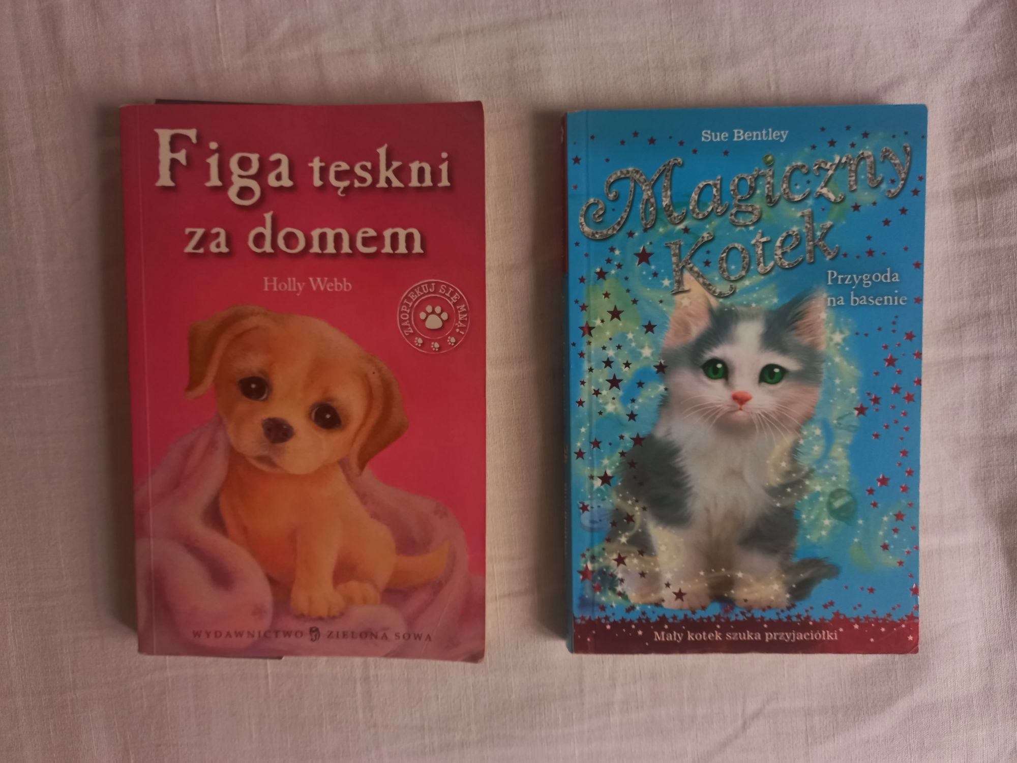 2 książki o zwierzętach dla dzieci figa tęskni za domem i magiczny kot