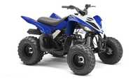 Yamaha YFM Raptor YFM90 Quad ATV Salon Polska Gwarancja Faktura 2022