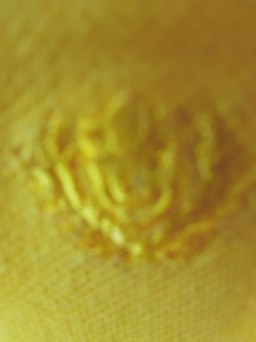 Koszulka polo żółta młodzieżowa