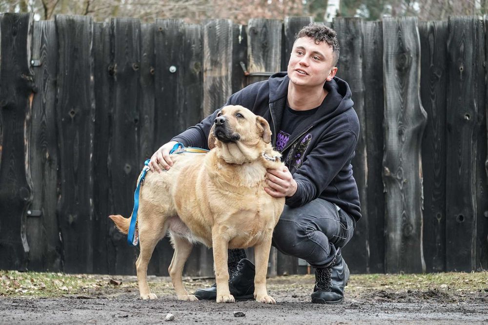 Kenta - super pozytywna sunia szuka domu