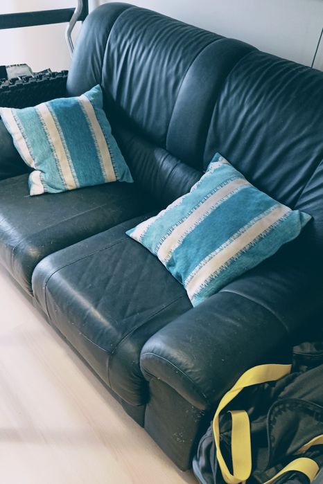 Sofa em pele 2Lugares