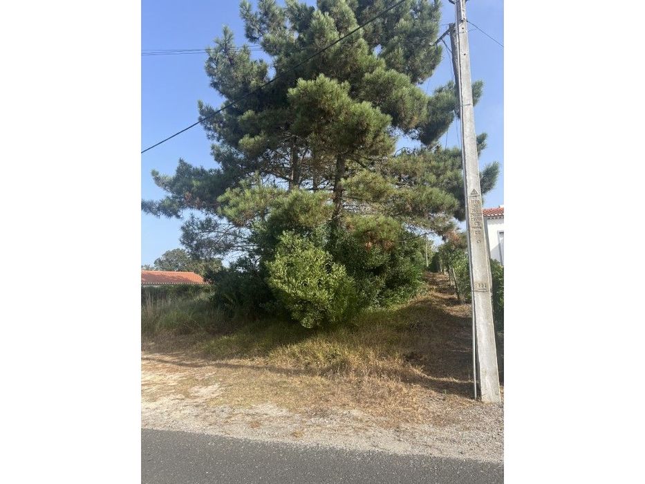 Espetacular terreno para construção na Urbanização Vale da Telha , ...