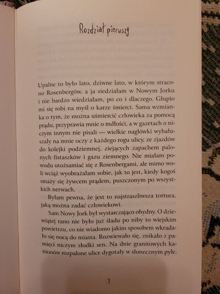 Sylvia Plath Szklany kosz 2010 WL