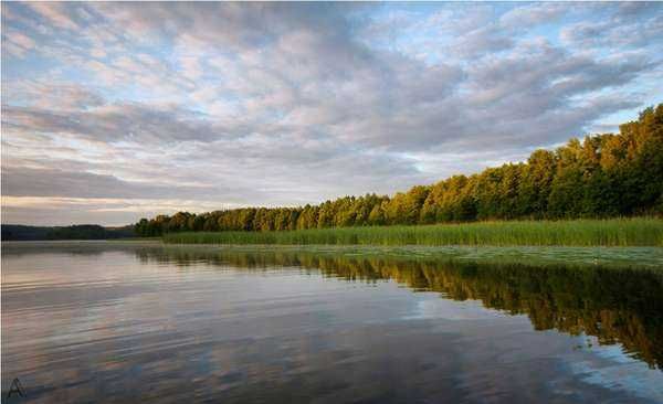 Piękna działka budowlana - Giedajty / Olsztyn / Warmia i Mazury