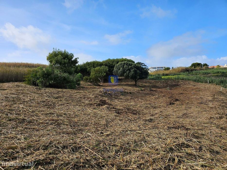 Terreno Exclusivo no Facho, Foz do Arelho – 1.700m2!