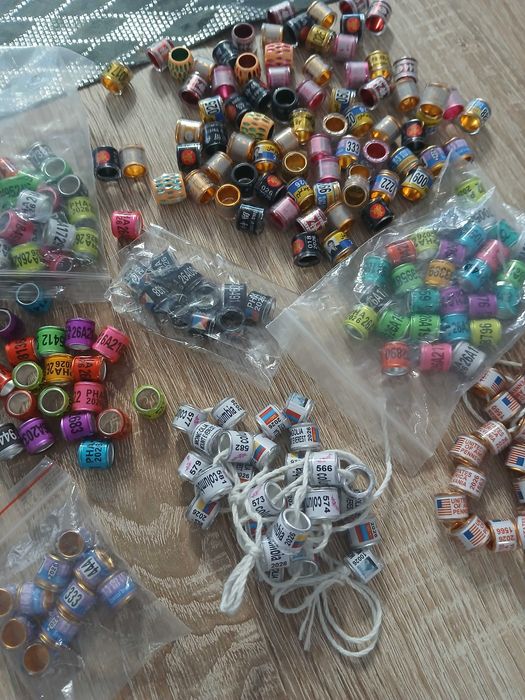 Obrączki dla gołębi pocztowych 2026 unikaty