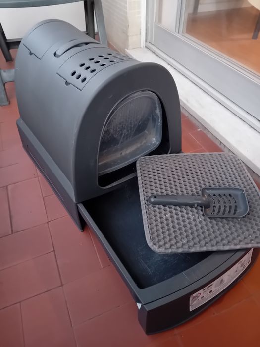 Caixa de areia para animais