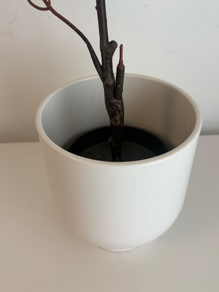 Planta falsa + vaso