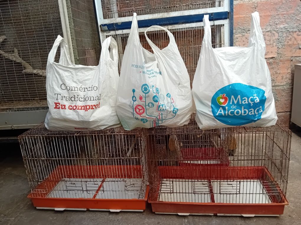 Vendo 2 viveiros, várias gaiolas e utensílios.
