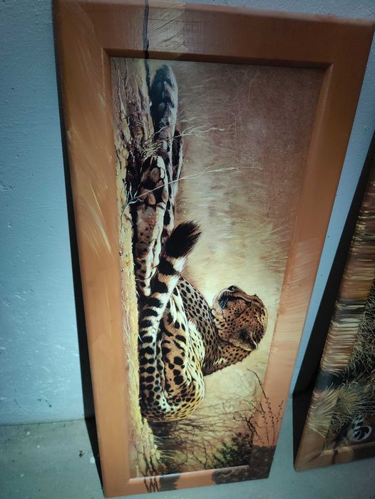 Obraz Gepard 111cm x 49cm