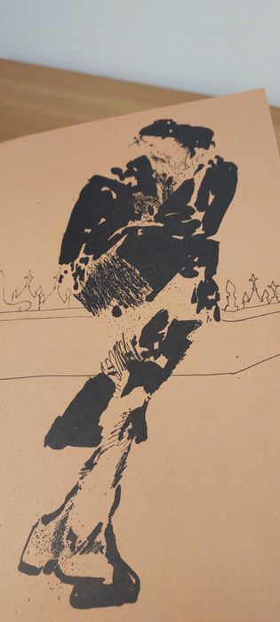 Retalhos da vida de um médico, 2 volumes