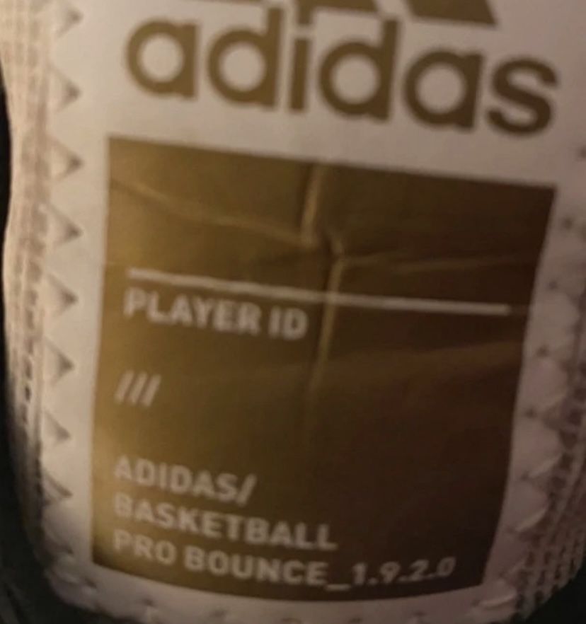 Adidas Pro Bounce 2019 Low Shoes White