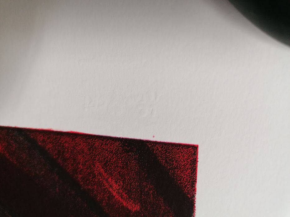 Aleksandra Waliszewska - ogród - uszkodzona litografia