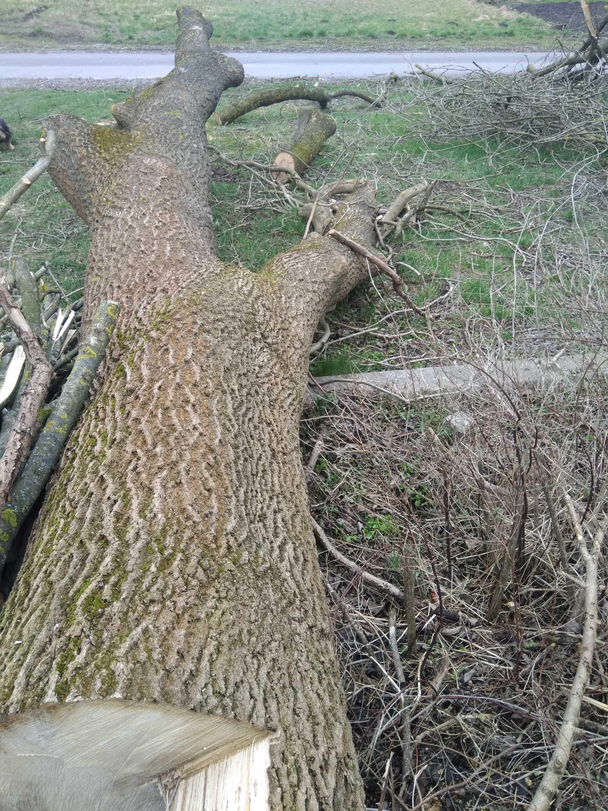 Drzewo, drewno opałowe, jesion 2m3