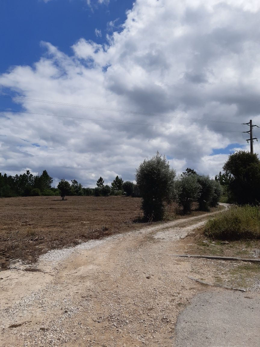 Terreno para Construção