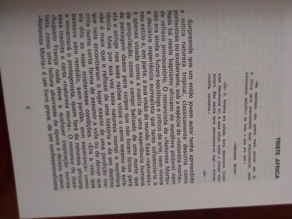 Natureza Morta - José Augusto França