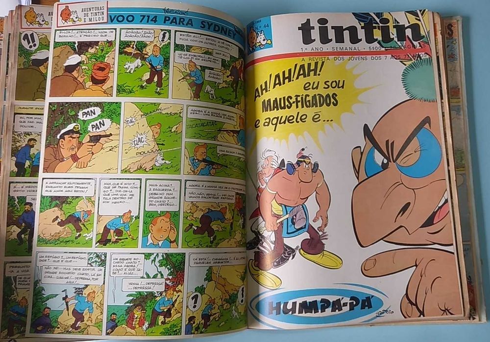 TINTIN - 1º ano COMPLETO - Volumes 1 e 2 - Encadernação editorial