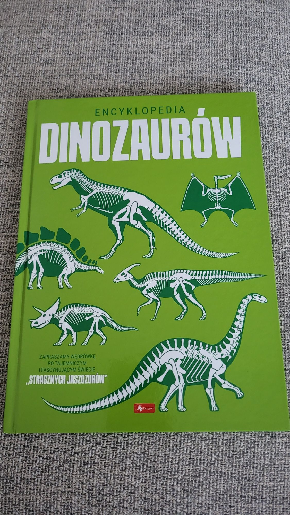 Encyklopedia dinozaurow ksiazka