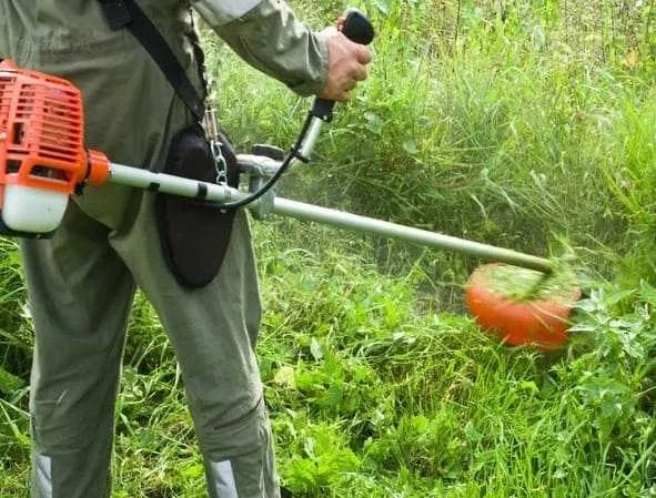 Спилювання дерев, обрізка гілок, покос трави, різноробочі