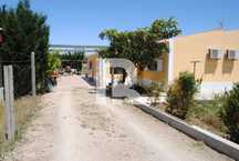 Moradia Térrea T5 num lote de 11.960.m2, em Alfaquiques, Sintra