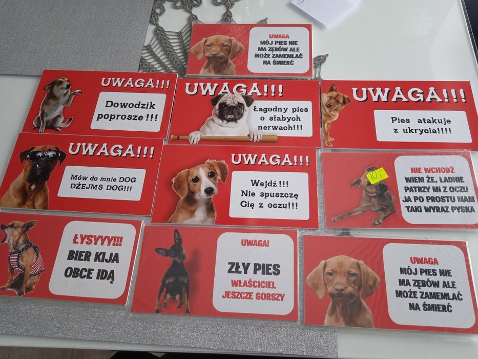 Tabliczka na bramę furtkę uwaga pies