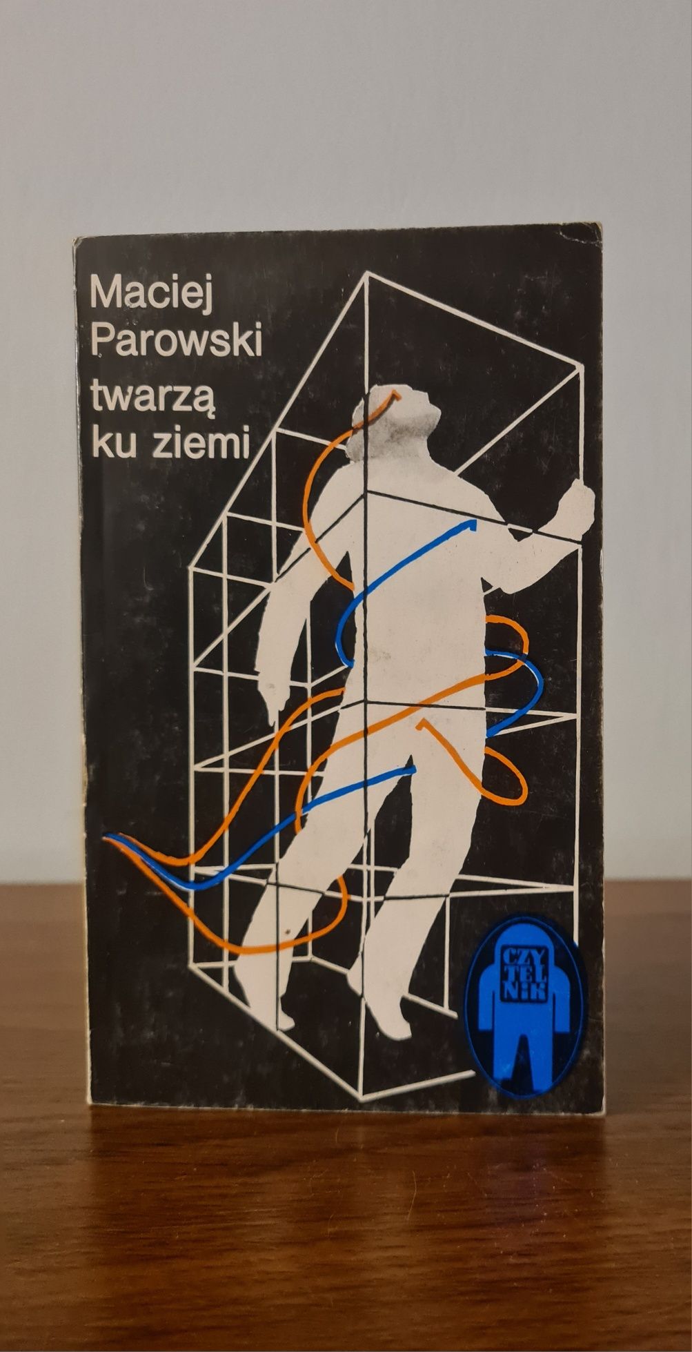 Twarzą ku ziemi - Maciej Parowski