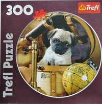 Puzzle mops pug 300 elementów