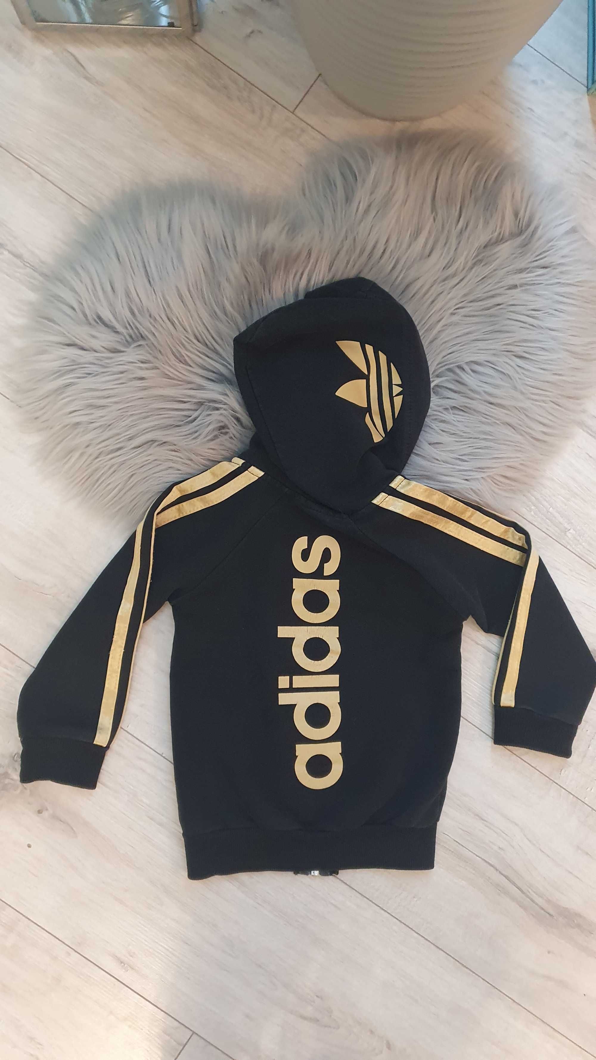 Chłopięca Bluza Sportowa Adidas 74/80