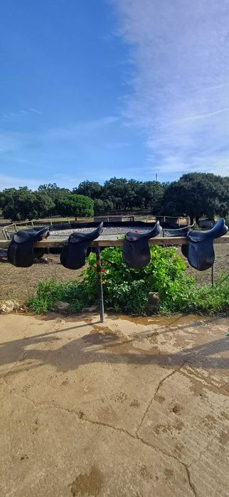 Selas inglesas e de pónei usadas