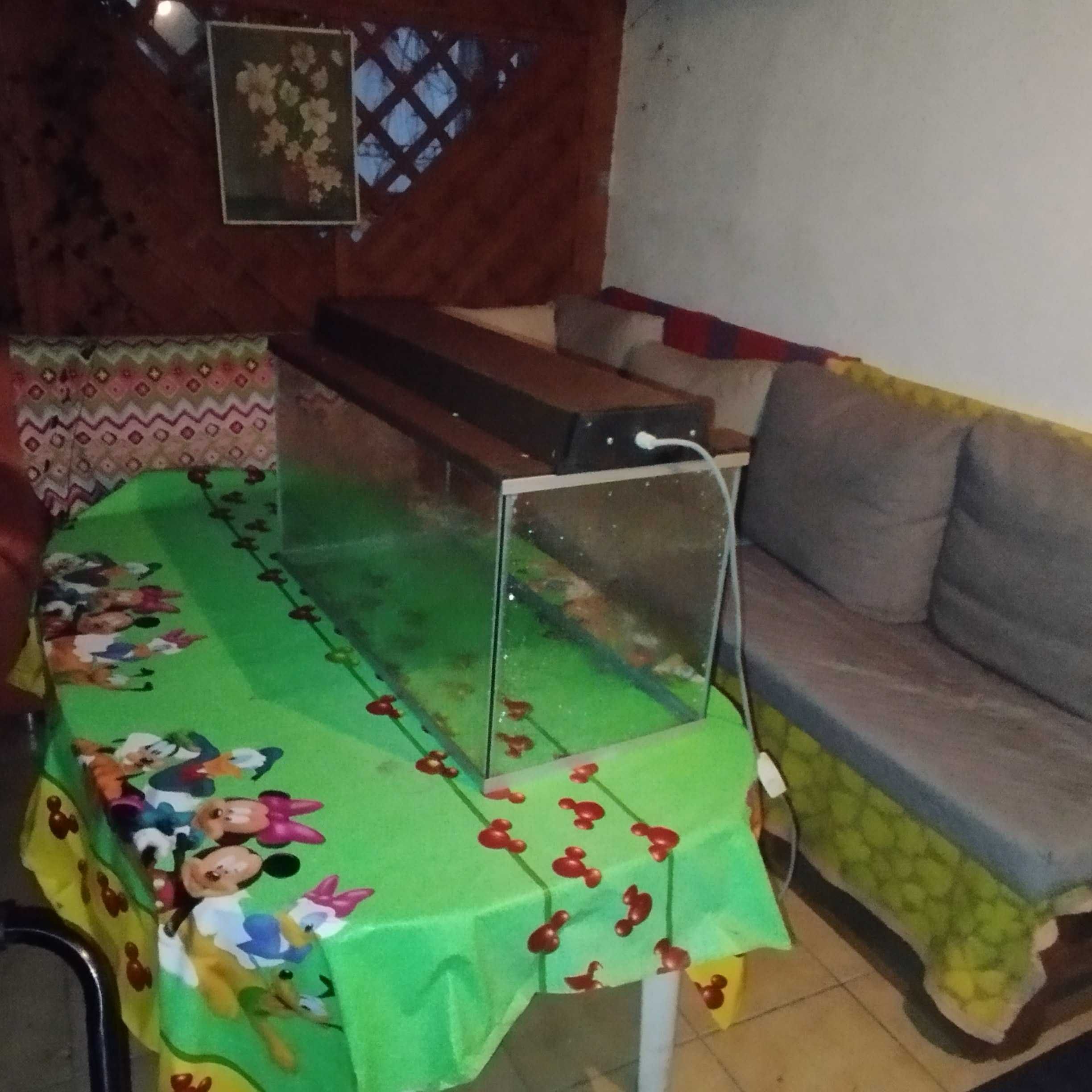 Akwarium  80x40x35 + lampa  dużo modeli w ofercie