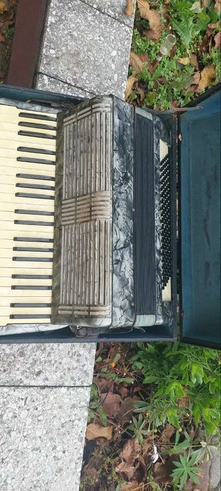 Akordeon Hohner Verdi IIIB 120 basów