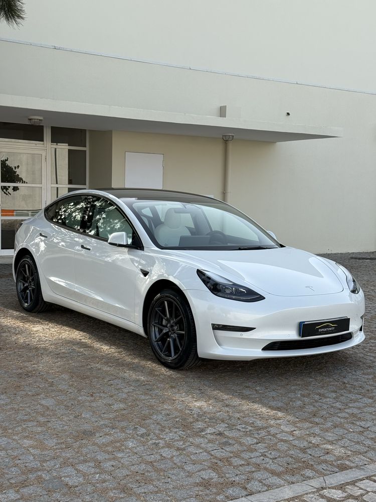Tesla Long range Dual motor