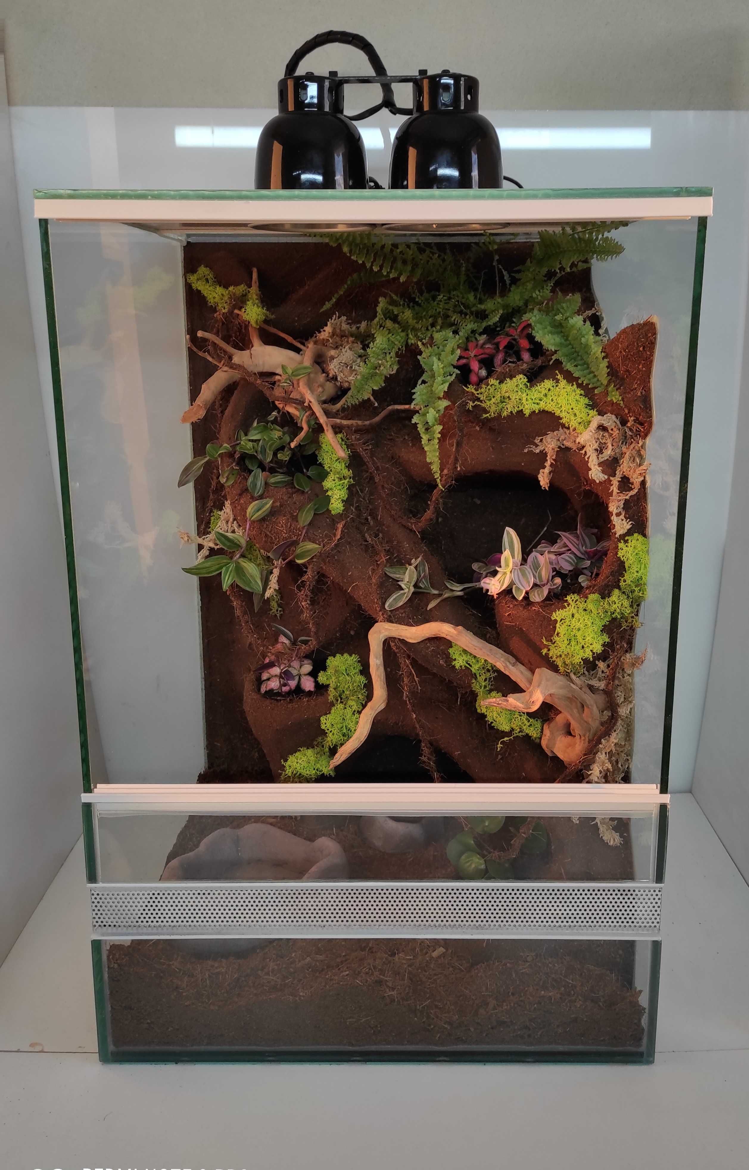 Terrarium z roślinami i korzeniami dla gekona, TW01RG, AquaWaves