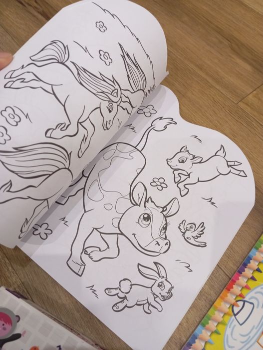 Kolorowanki dziecięce zestaw kolorowanek
