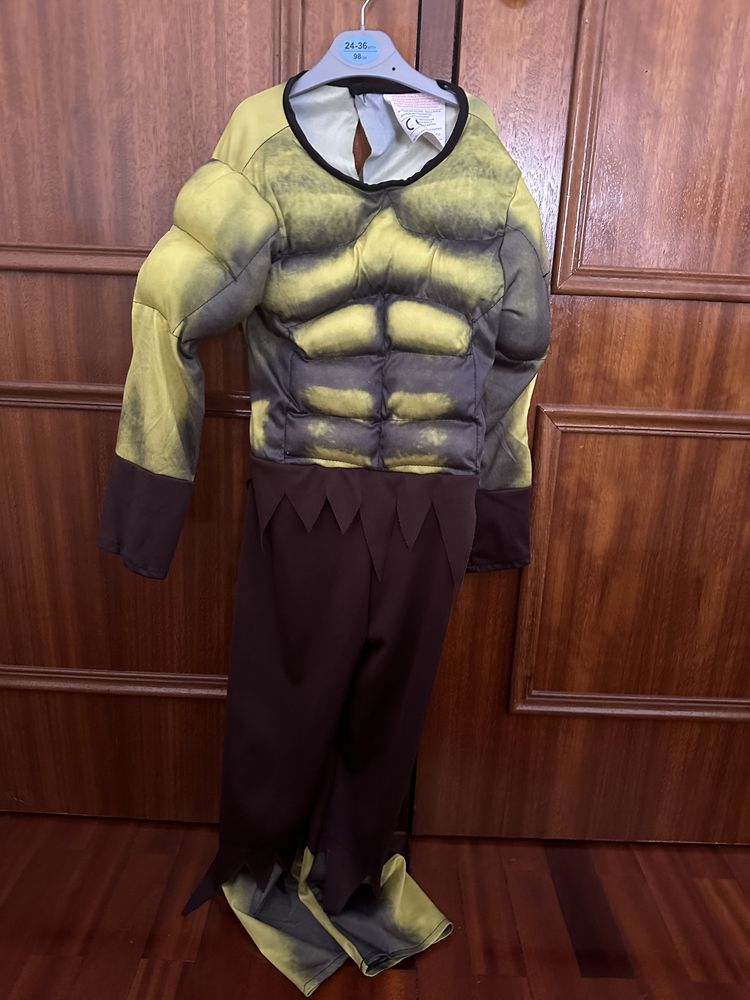 Fato Carnaval Hulk 6 Anos