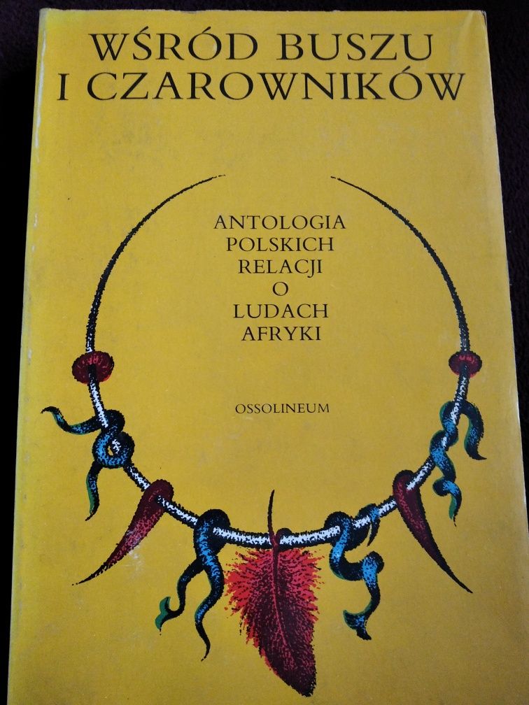 Wśród buszu i czarowników Antologia polskich relacji o ludach Afryki