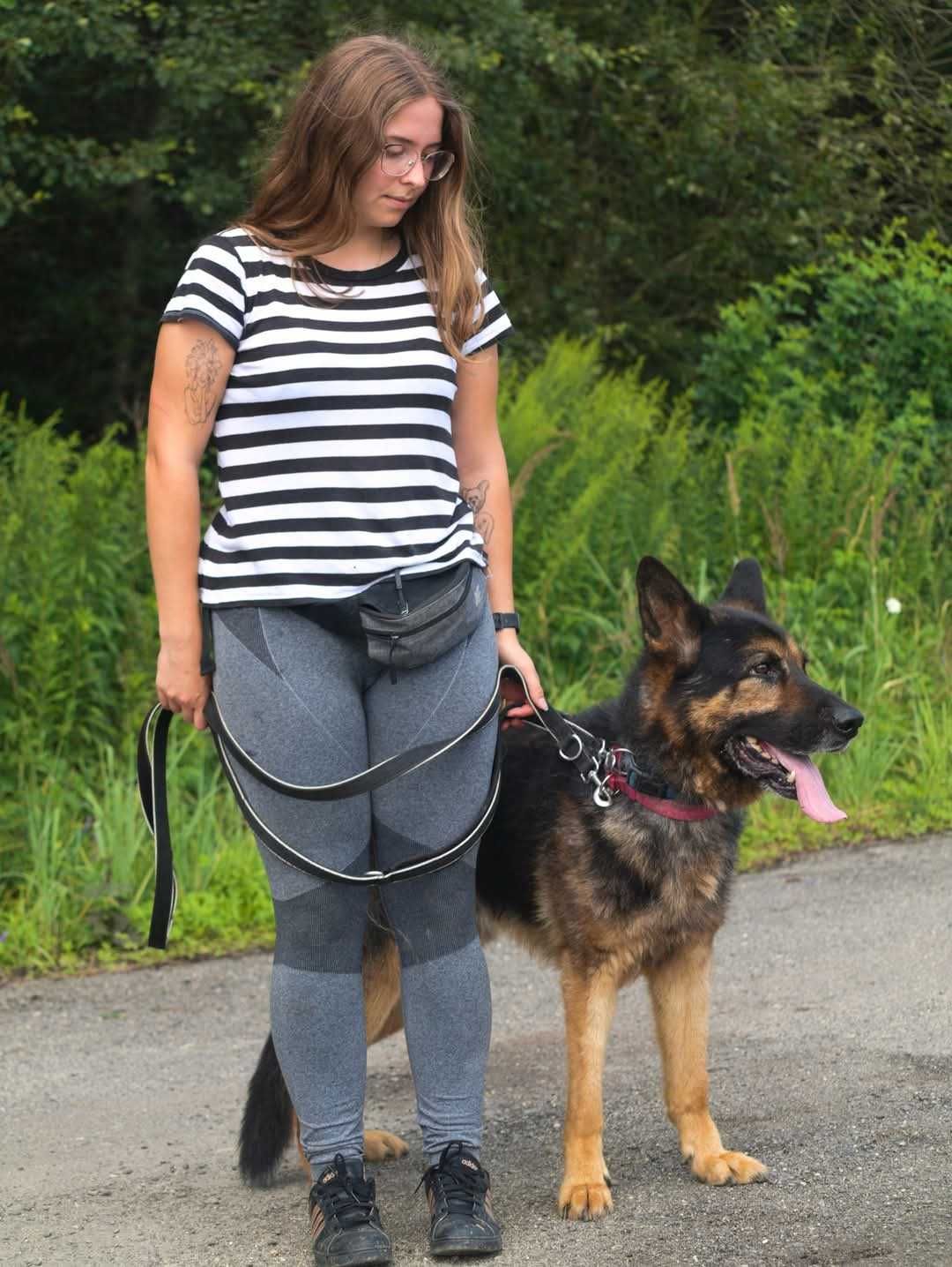 Hades- piękny pies w typie owczarka niemieckiego ADOPCJA