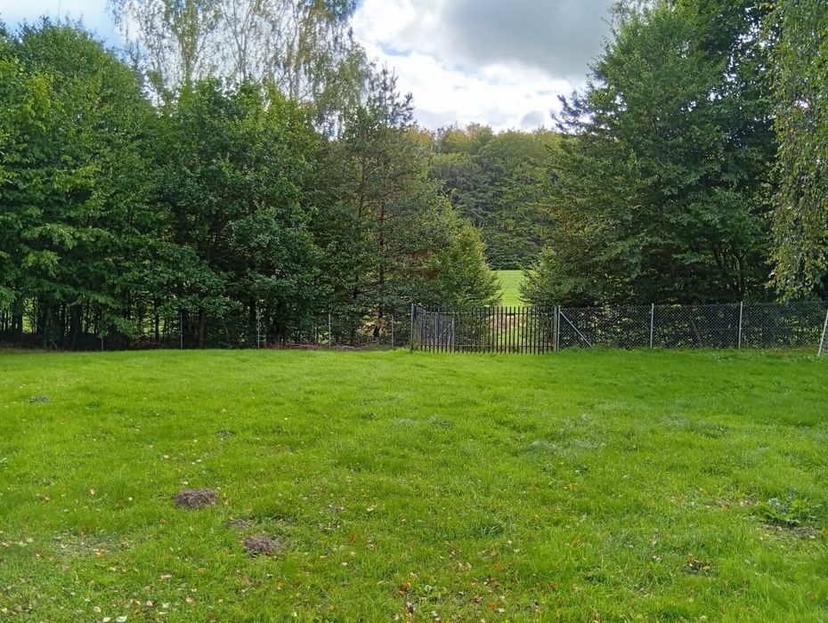 Na sprzedaż działka 2000 m² – Piekło Górne, gm. Przywidz