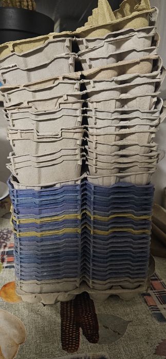 Wytłaczanki do jajek