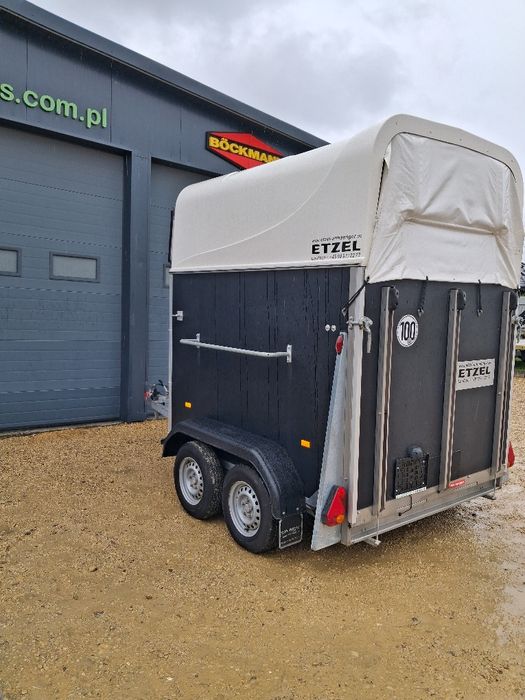 Przyczepa dla koni Meyer Arizona