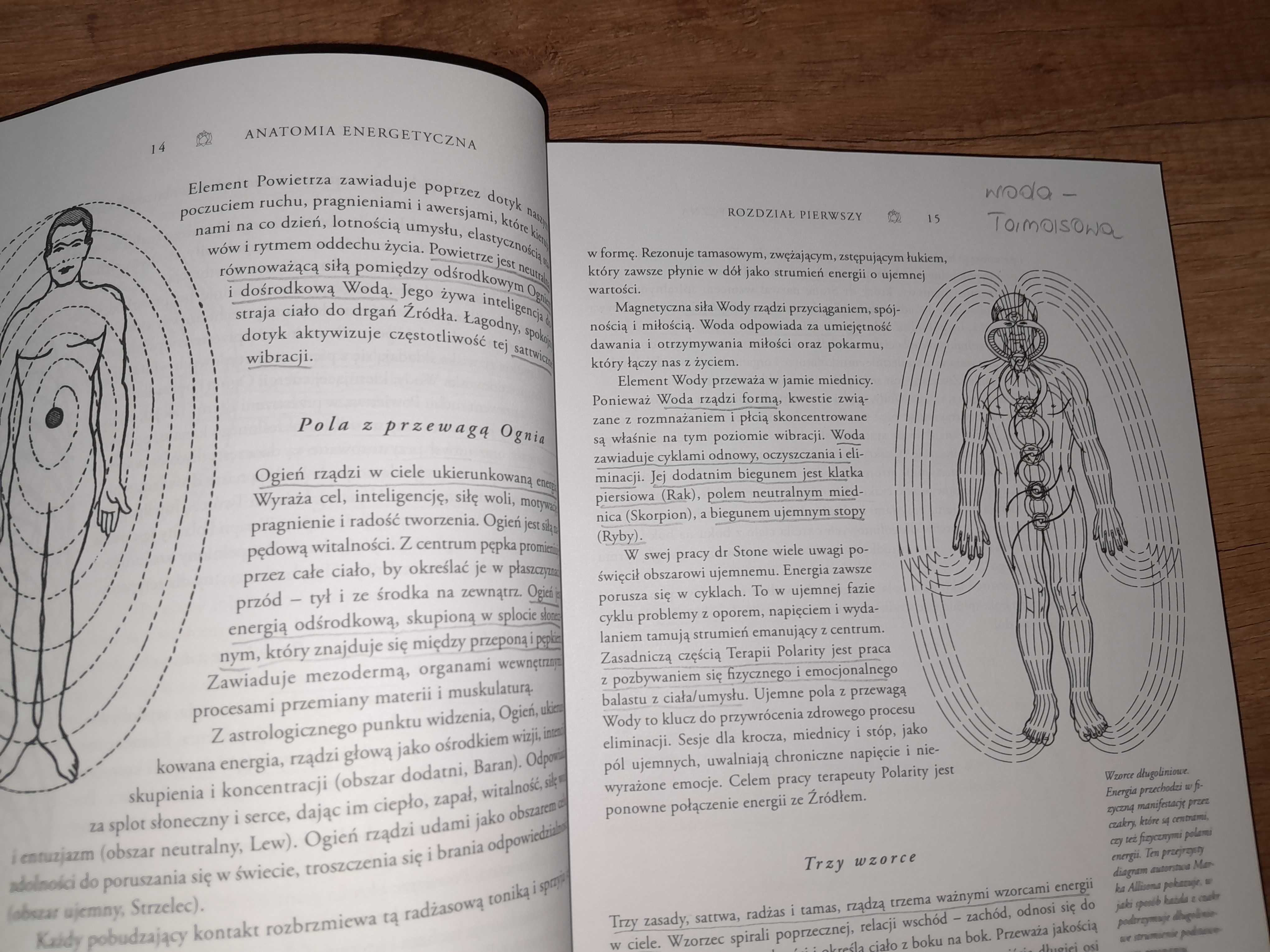 Anatomia energetyczna Burger ciało świadomość uzdrawianie