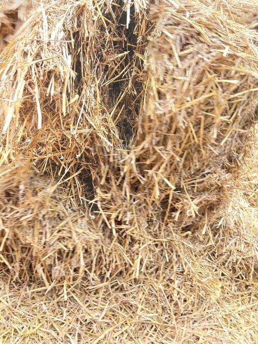 Sprzedam słomę słoma