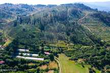 Terreno  para venda