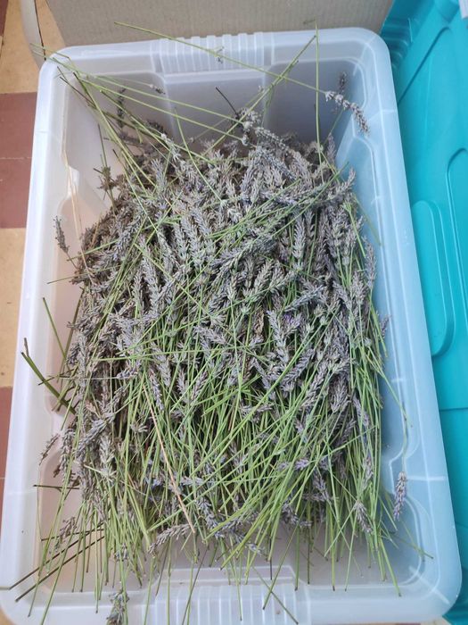 Sacos de alfazema feitos a mão com diversos padrões